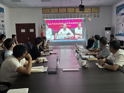 【河海水文】水發(fā)水控集團(tuán)黨委委員、紀(jì)委書記王高升到河海公司全面從嚴(yán)治黨、黨風(fēng)廉政建設(shè)專題調(diào)研 (1).jpg